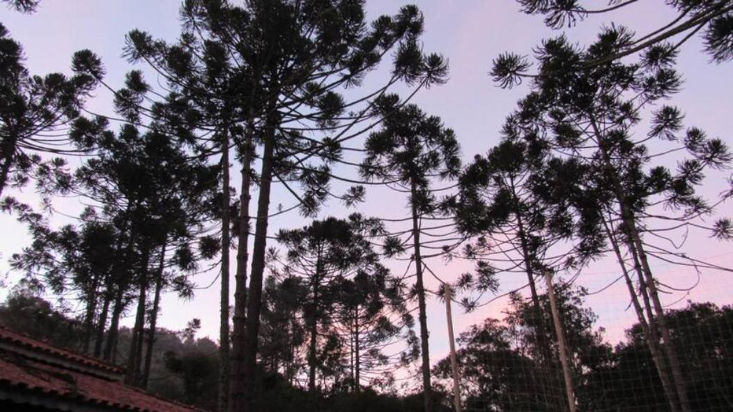Chácara Capucho & Macedo Villa Cunha Ngoại thất bức ảnh
